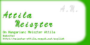 attila meiszter business card